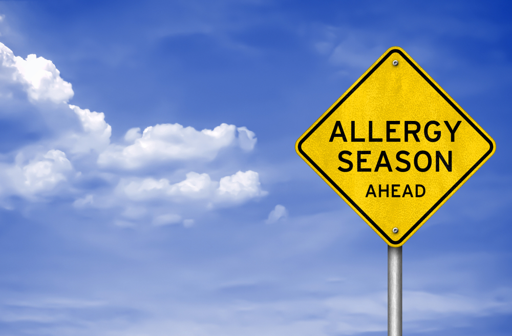 Allergy,Season,Ahead,-,Road,Sign,Warning,As,3d,Illustration allergy season